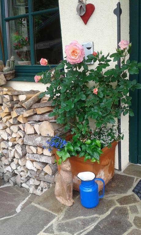 Apartamento Holdhaeusl Schladming Habitación foto