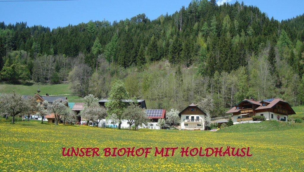 Apartamento Holdhaeusl Schladming Habitación foto